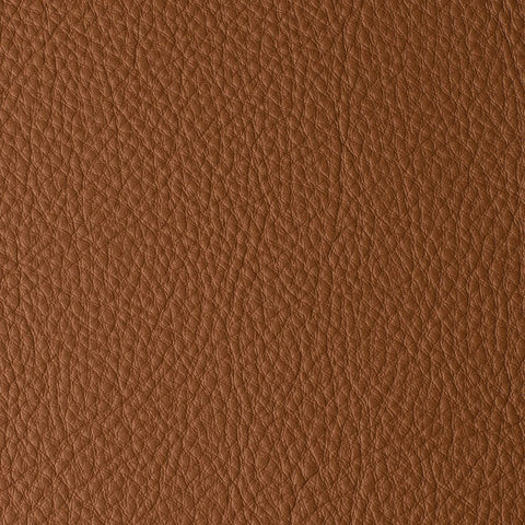Elastron Atlantida — Camel