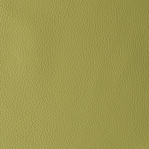 Elastron Atlantida — Celery