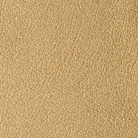 Elastron Atlantida — Champagne