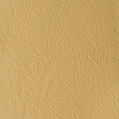 Elastron Atlantida — Maize