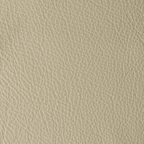 Elastron Atlantida — Mouton