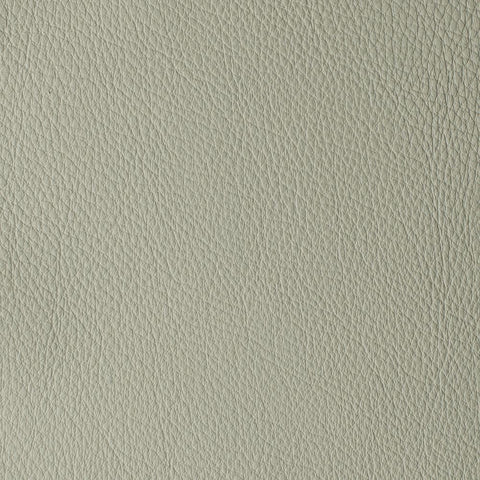 Elastron Atlantida — Plaster