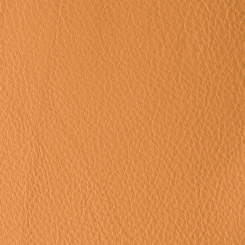 Elastron Atlantida — Salmon