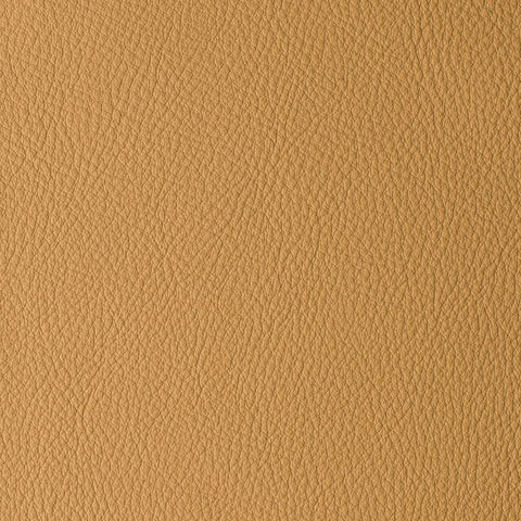 Elastron Atlantida — Savanna