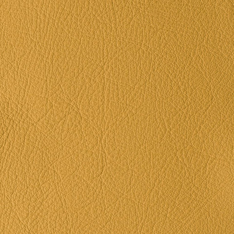 Elastron Atlantida — Yam
