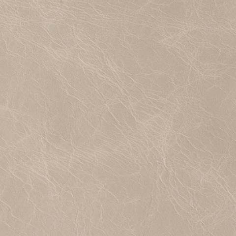 Elastron Country — Elephant