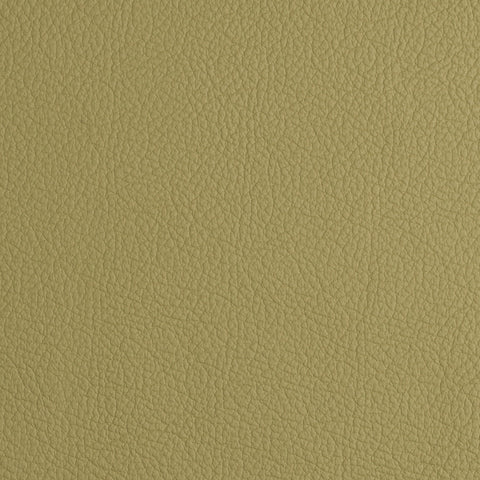Elastron Florida — Avocat