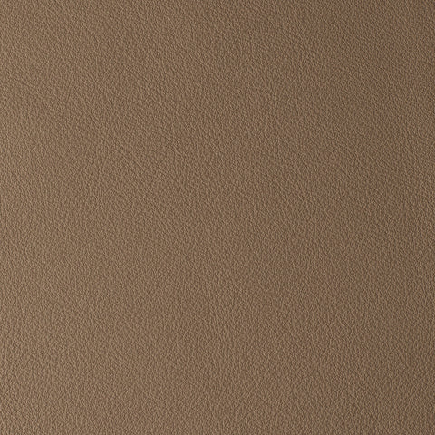 Elastron Laguna — Acaccia