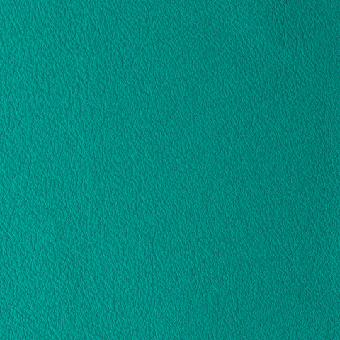Elastron Laguna — Aquatic