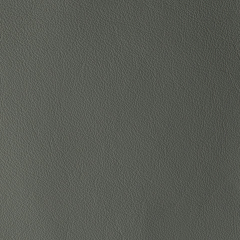 Elastron Laguna — Ash