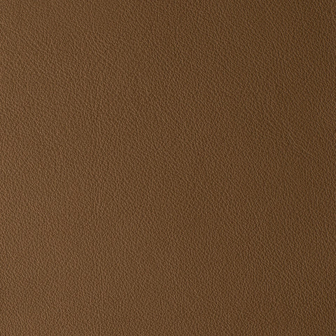 Elastron Laguna — Bark
