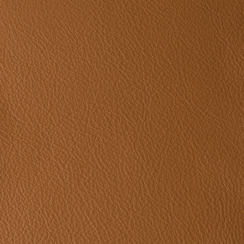 Elastron Laguna — Brandy