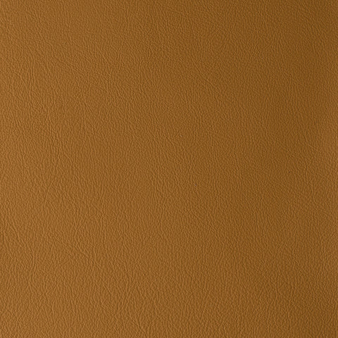 Elastron Laguna — Camel