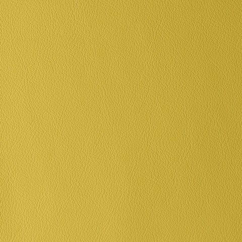 Elastron Laguna — Canary
