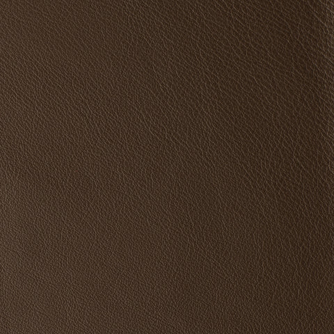 Elastron Laguna — Caribou