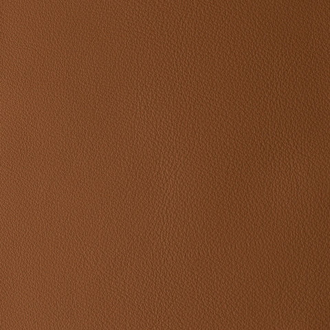Elastron Laguna — Cognac