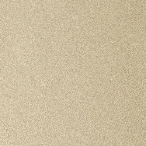Elastron Laguna — Cream