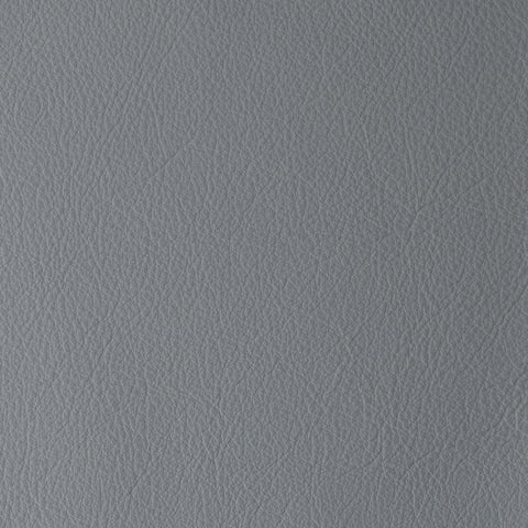 Elastron Laguna — Espirit