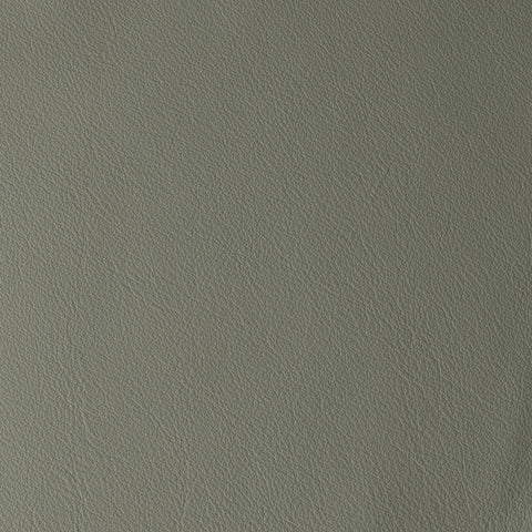 Elastron Laguna — Fog