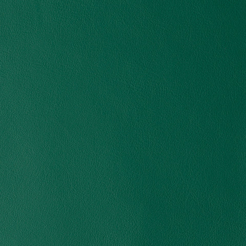 Elastron Laguna — Green Ray
