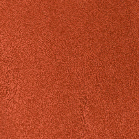 Elastron Laguna — Mango