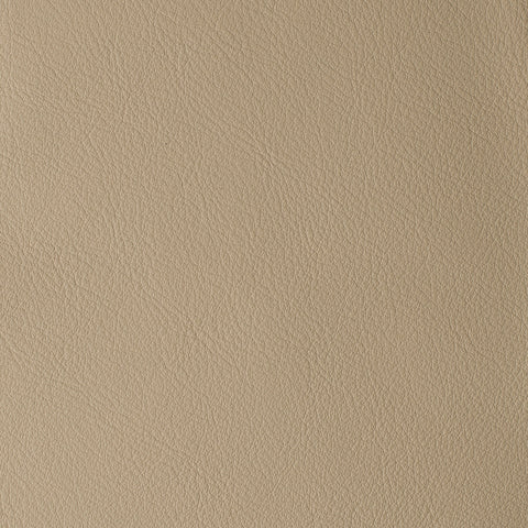 Elastron Laguna — Mouton