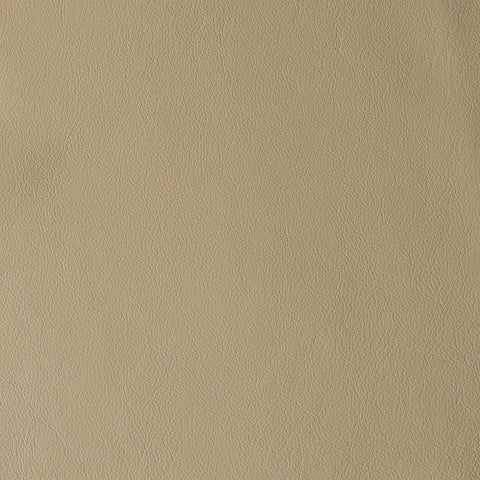 Elastron Laguna — Mud