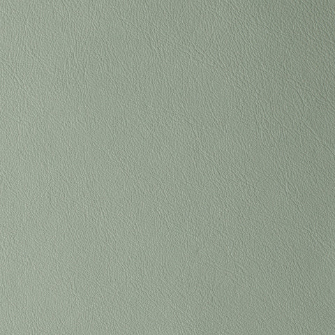 Elastron Laguna — Oxide