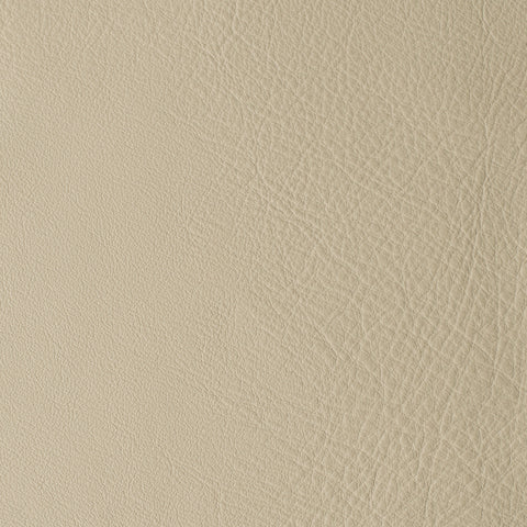 Elastron Laguna — Payprus
