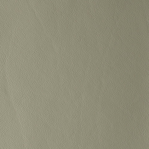 Elastron Laguna — Pearl