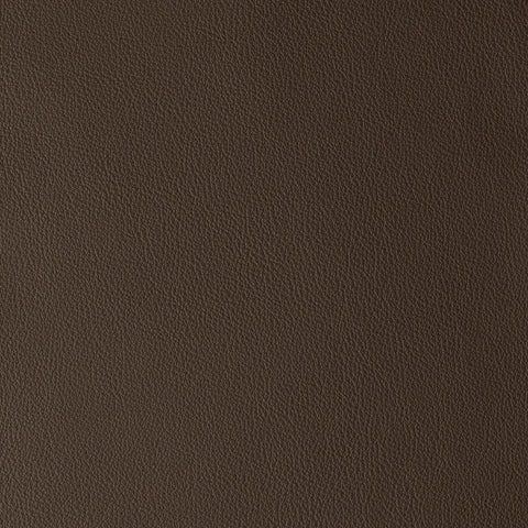 Elastron Laguna — Praline