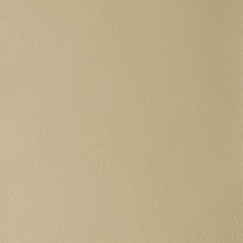 Elastron Laguna — Sand