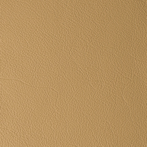 Elastron Laguna — Savanna