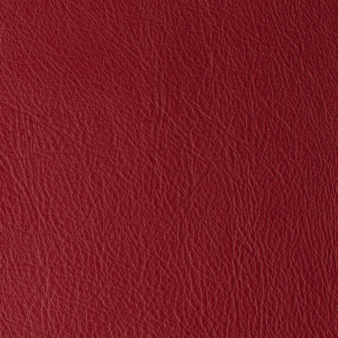 Elastron Laguna — Scarlet