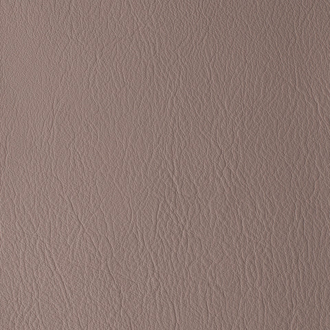 Elastron Laguna — Shadow