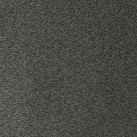 Elastron Laguna — Shark