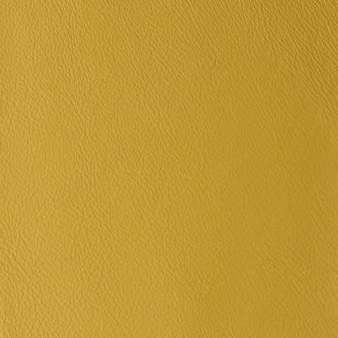 Elastron Laguna — Sun