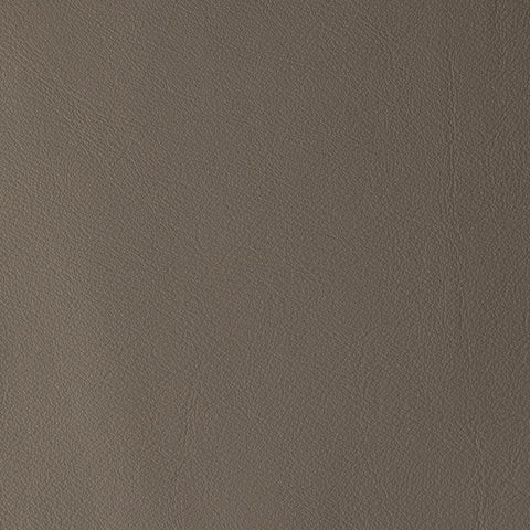 Elastron Laguna — Zinc