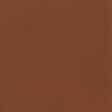Elastron Panama — Brandy