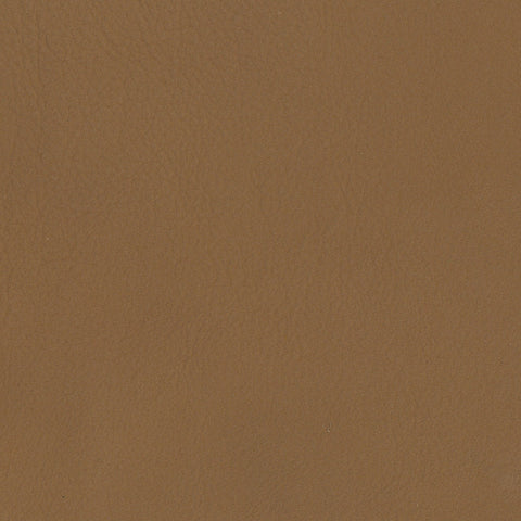 Elastron Panama — Lion