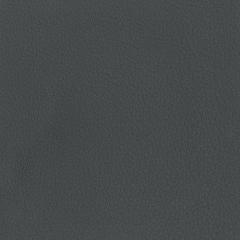 Elastron Panama — Shark