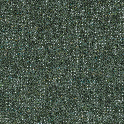 Elastron Allegro — Forest