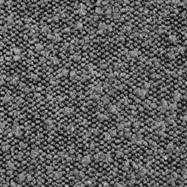 Elastron Ascot — Graphite