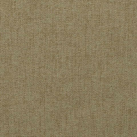 Elastron Kenya — Lion