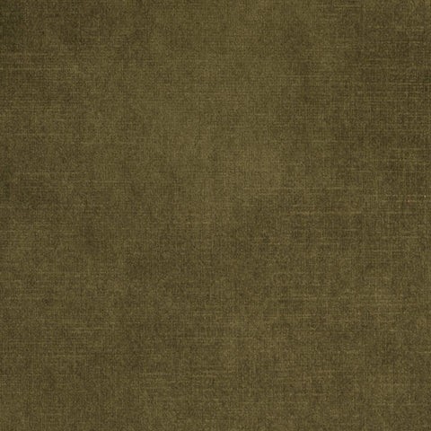Elastron Macau — Moss