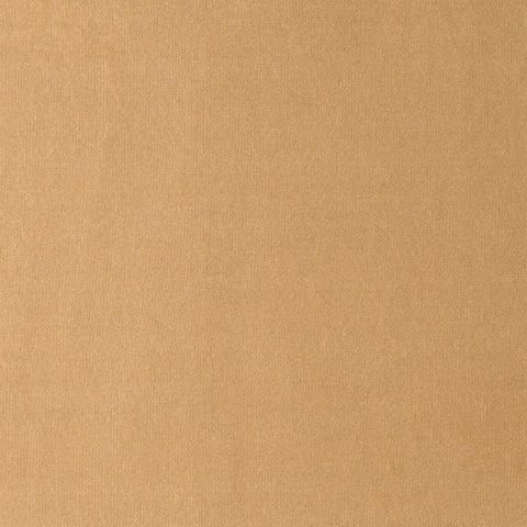 Elastron Paris — Camel