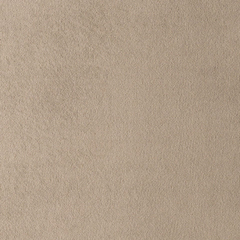 Elastron Paris — Elephant