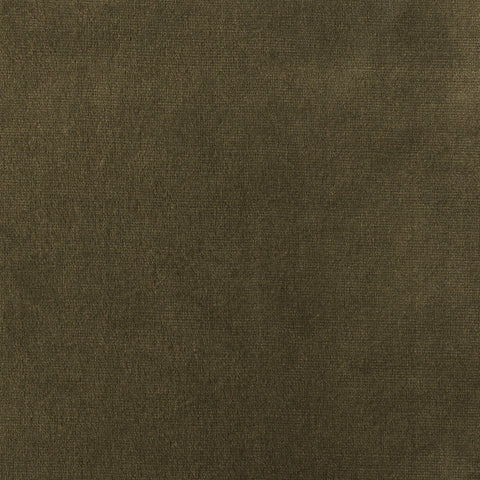 Elastron Paris — Forest