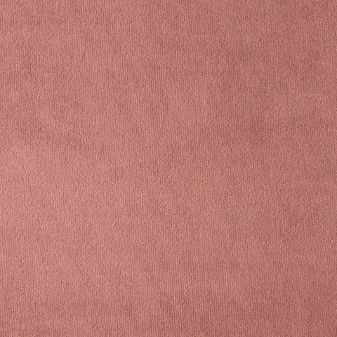 Elastron Paris — Salmon