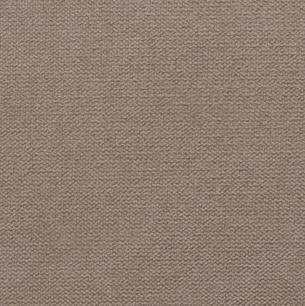 Elastron Prince — Camel